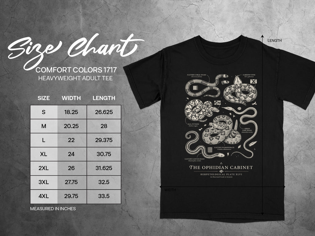 Comfort Colors 1717 size chart and snake illustration on black t-shirt.