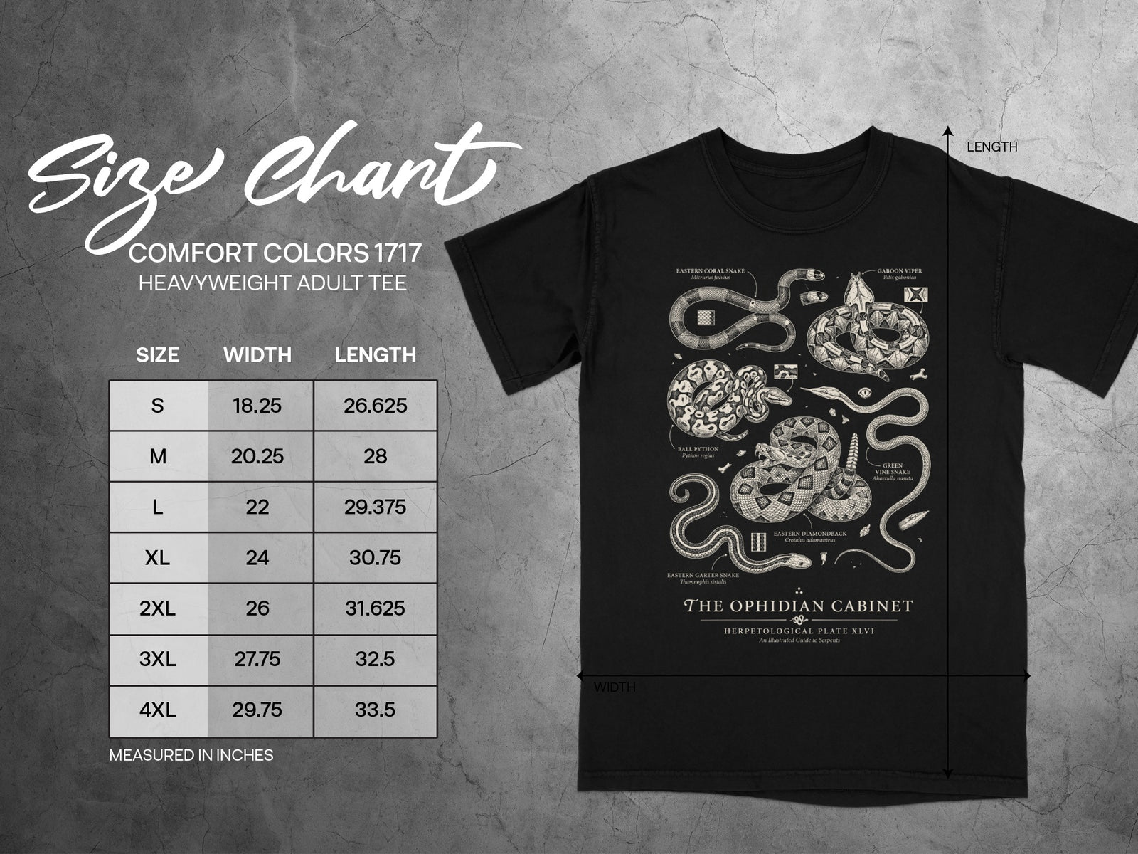 Comfort Colors 1717 size chart and snake illustration on black t-shirt.
