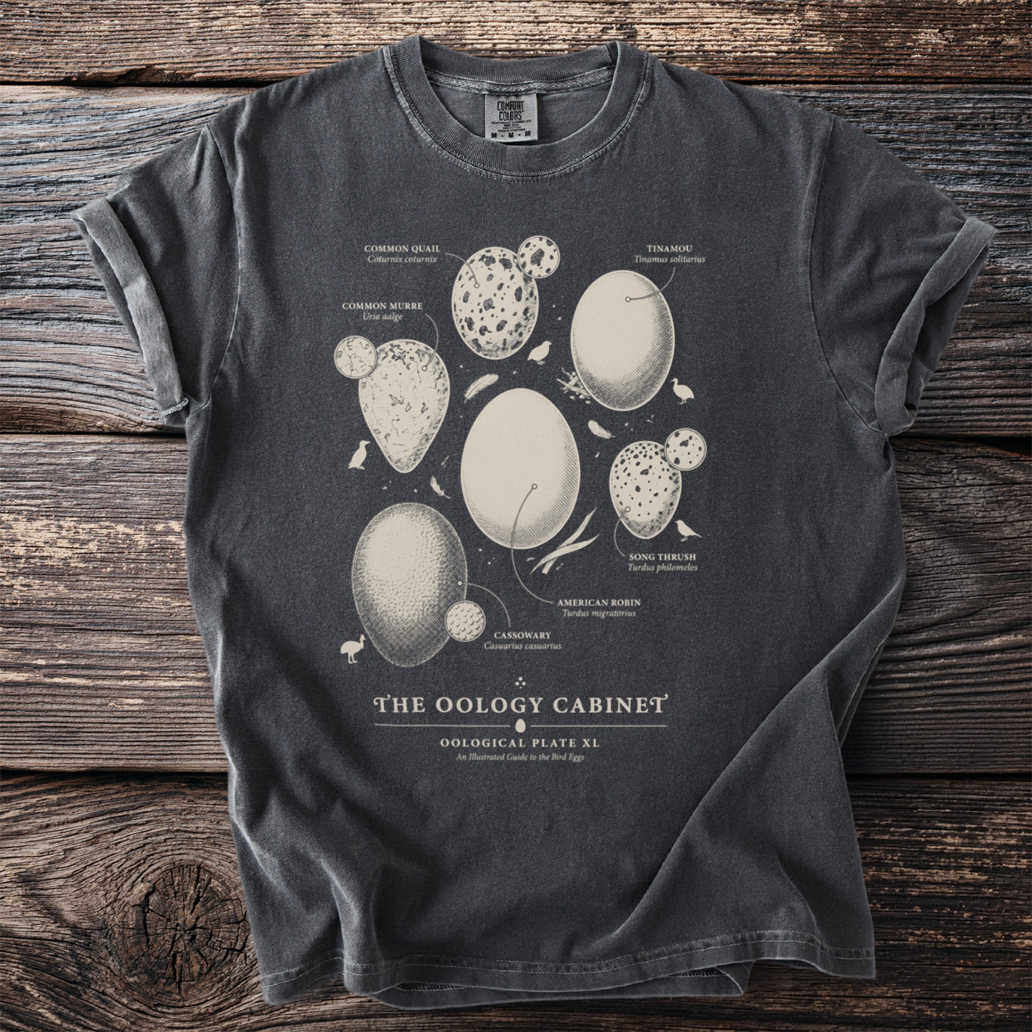 Dark t-shirt featuring an illustration of various bird eggs with accompanying scientific names.