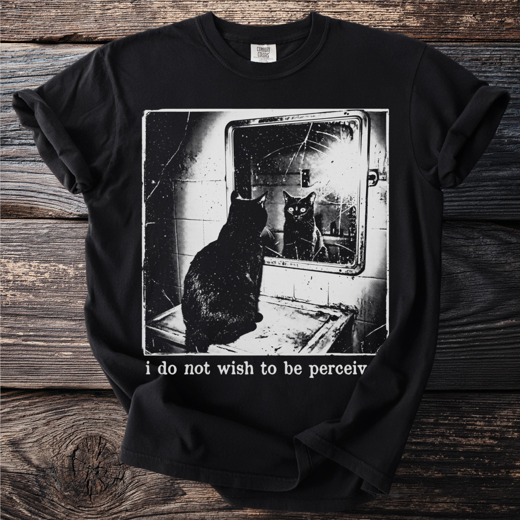 Black cat sitting in front of a cracked mirror, text "i do not wish to be perceiv".