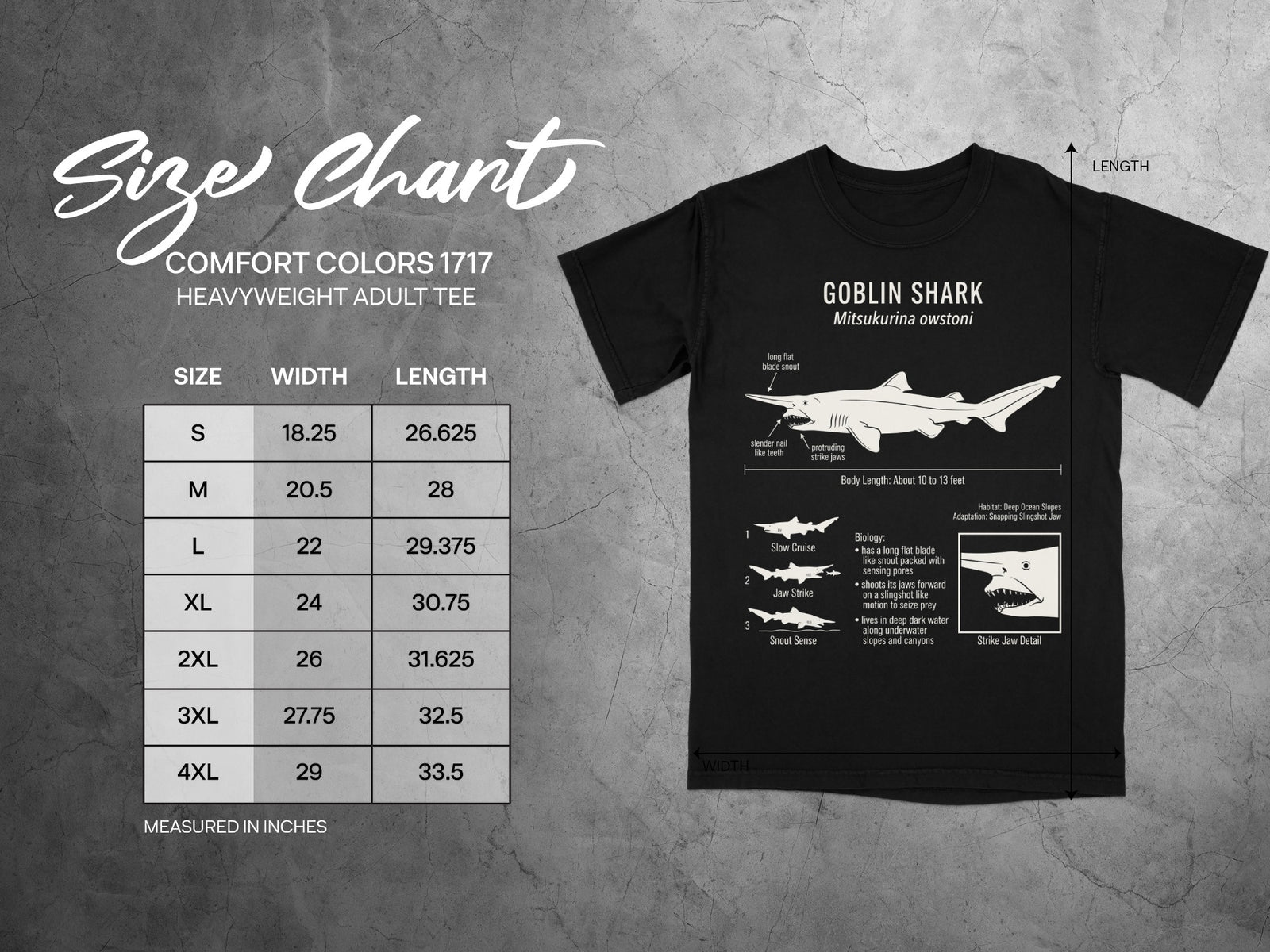 Goblin Shark t-shirt with size chart and detailed shark illustration.