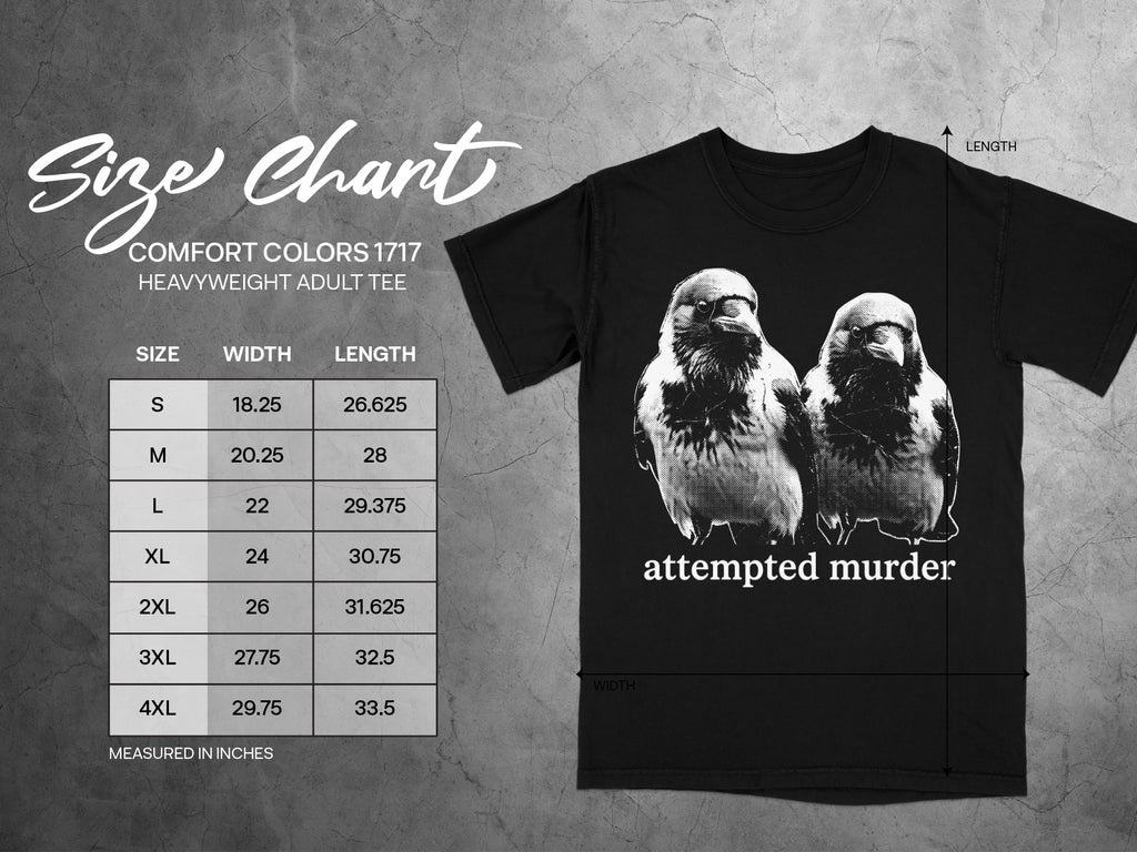 Black t-shirt size chart with "attempted murder" graphic and measurements in inches.