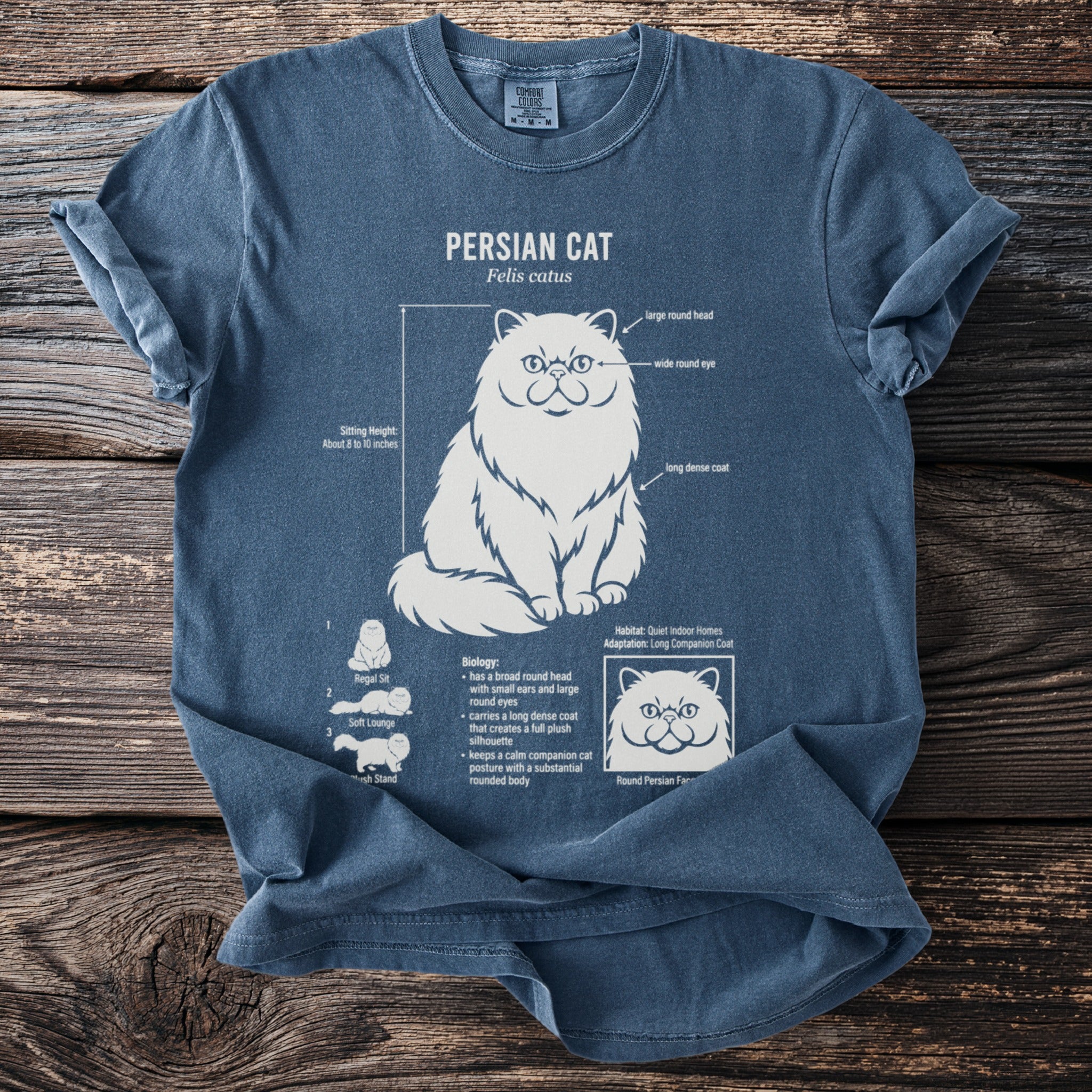 Blue t-shirt with Persian cat infographic showing breed characteristics and poses.