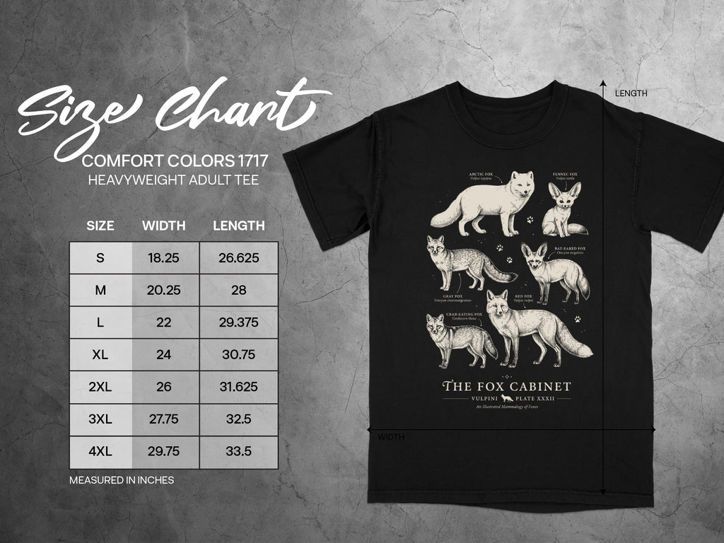 T-shirt size chart with fox illustrations, featuring Comfort Colors 1717 heavyweight adult tee.