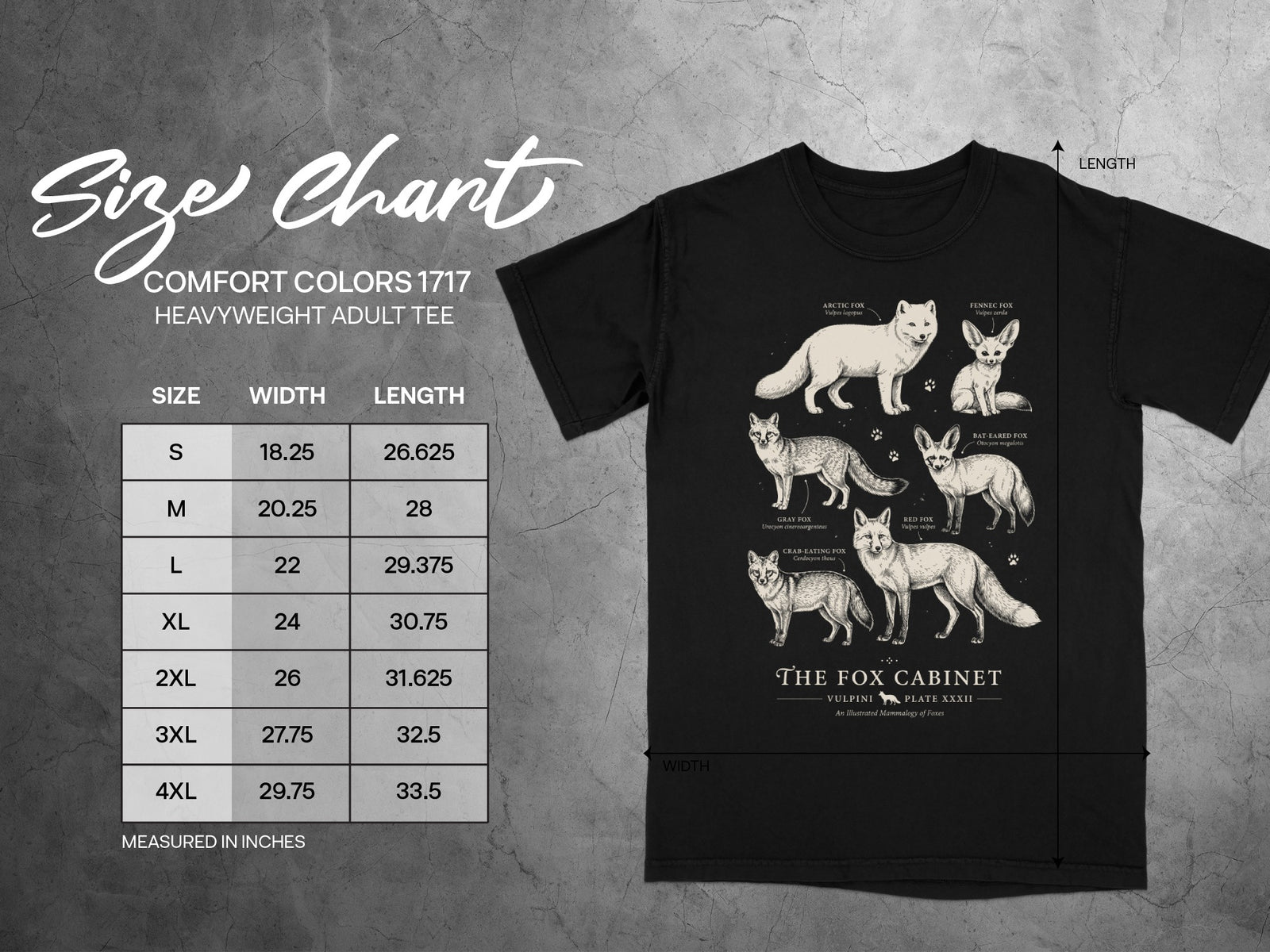 T-shirt size chart with fox illustrations, featuring Comfort Colors 1717 heavyweight adult tee.