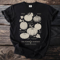 Black t-shirt graphic displays various heirloom pumpkins labeled "The Pumpkin Harvest."
