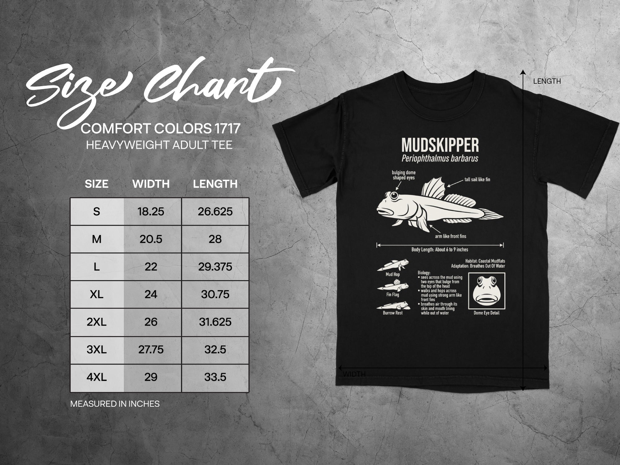 Comfort Colors 1717 t-shirt size chart with mudskipper graphic.