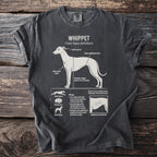 T-shirt with detailed diagram of a Whippet dog breed anatomy and traits.