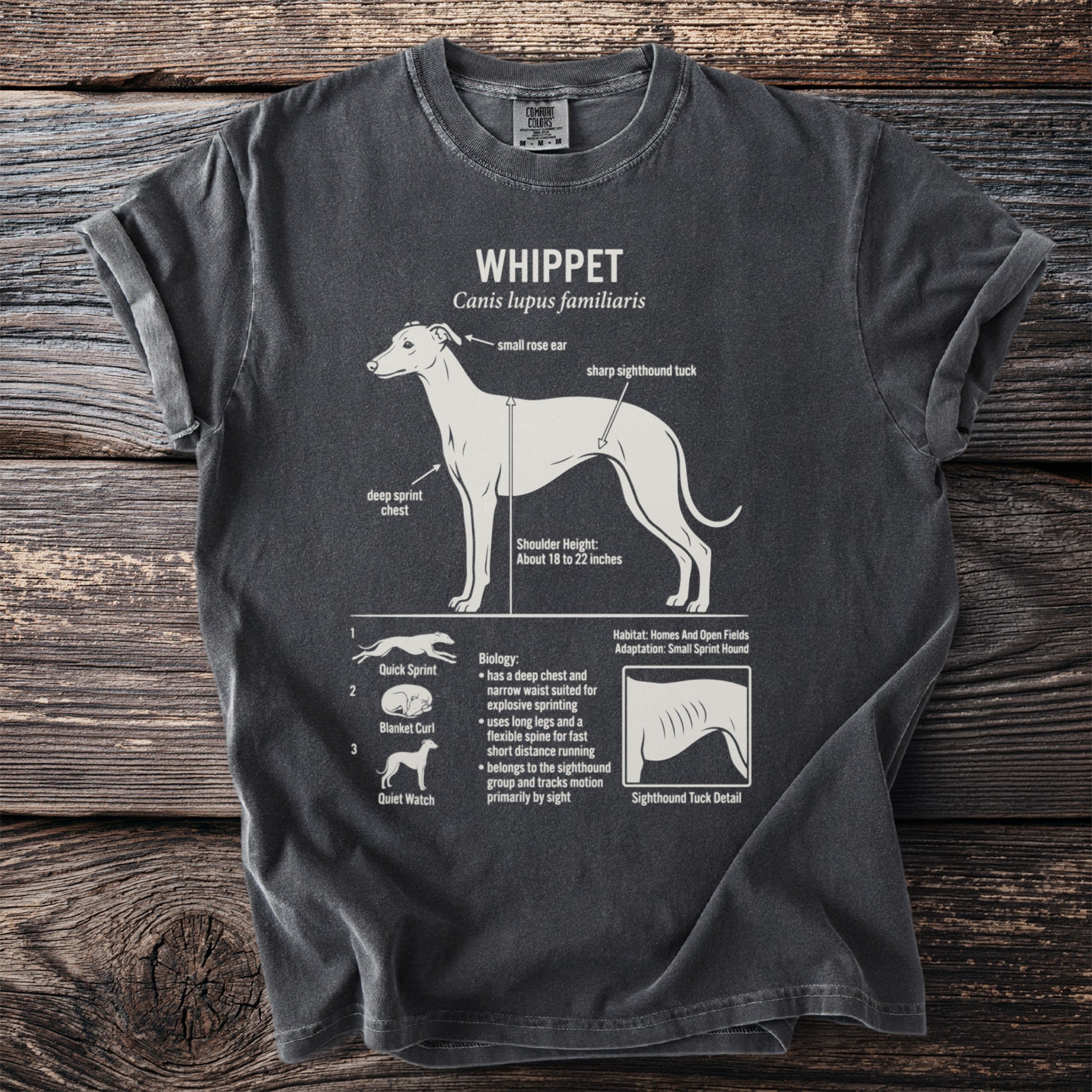 T-shirt with detailed diagram of a Whippet dog breed anatomy and traits.