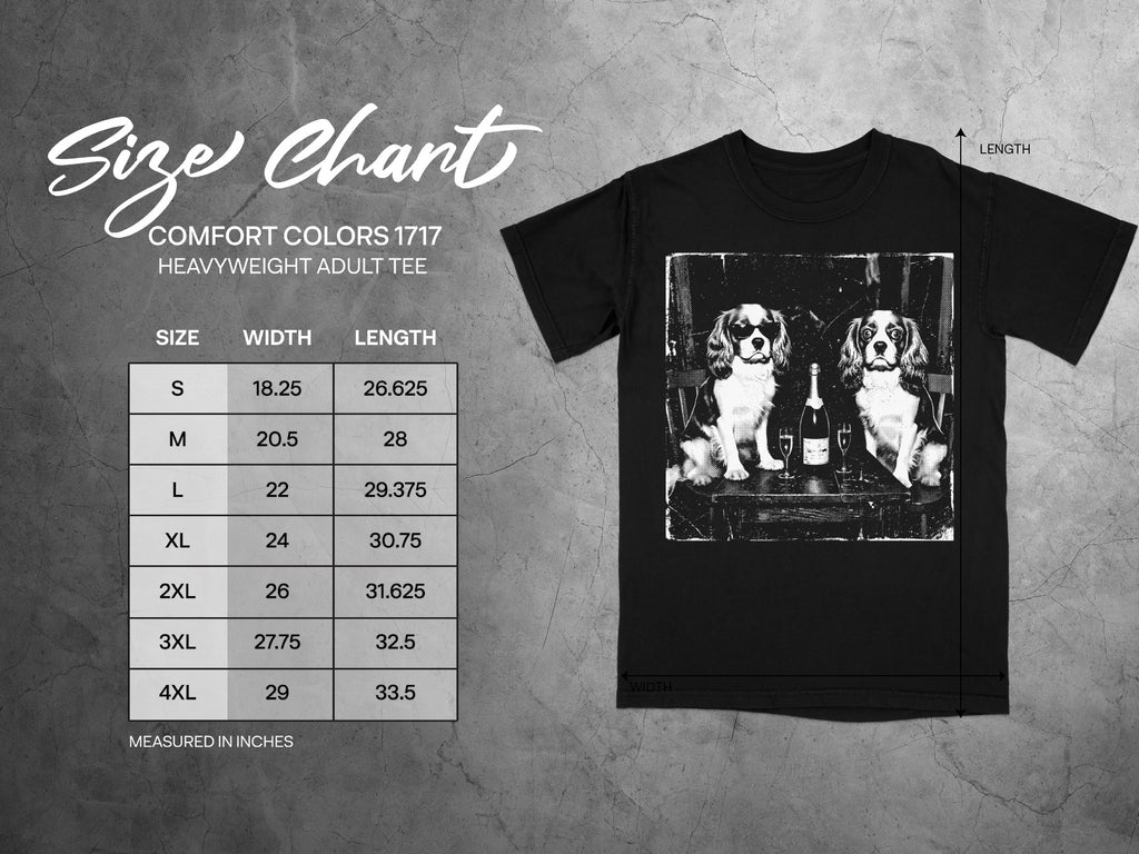 Comfort Colors 1717 garment size chart in inches.