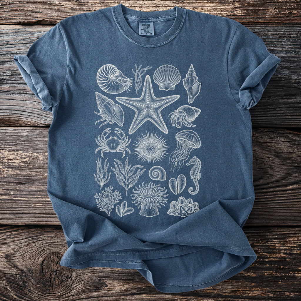 Blue t-shirt with a white vintage-style marine life print including shells, starfish, and a seahorse.