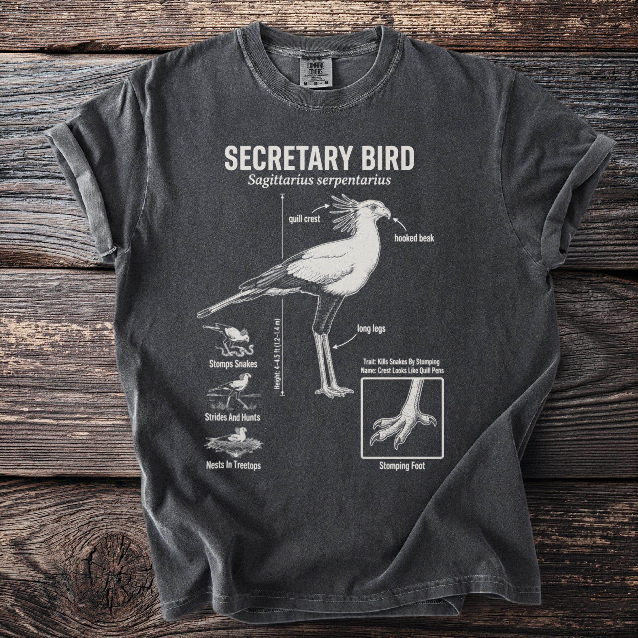T-shirt features diagram and facts about a Secretary Bird, including its features and behavior.
