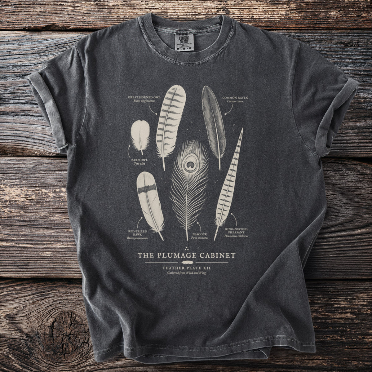 Dark t-shirt with line drawings of various bird feathers and text "The Plumage Cabinet".