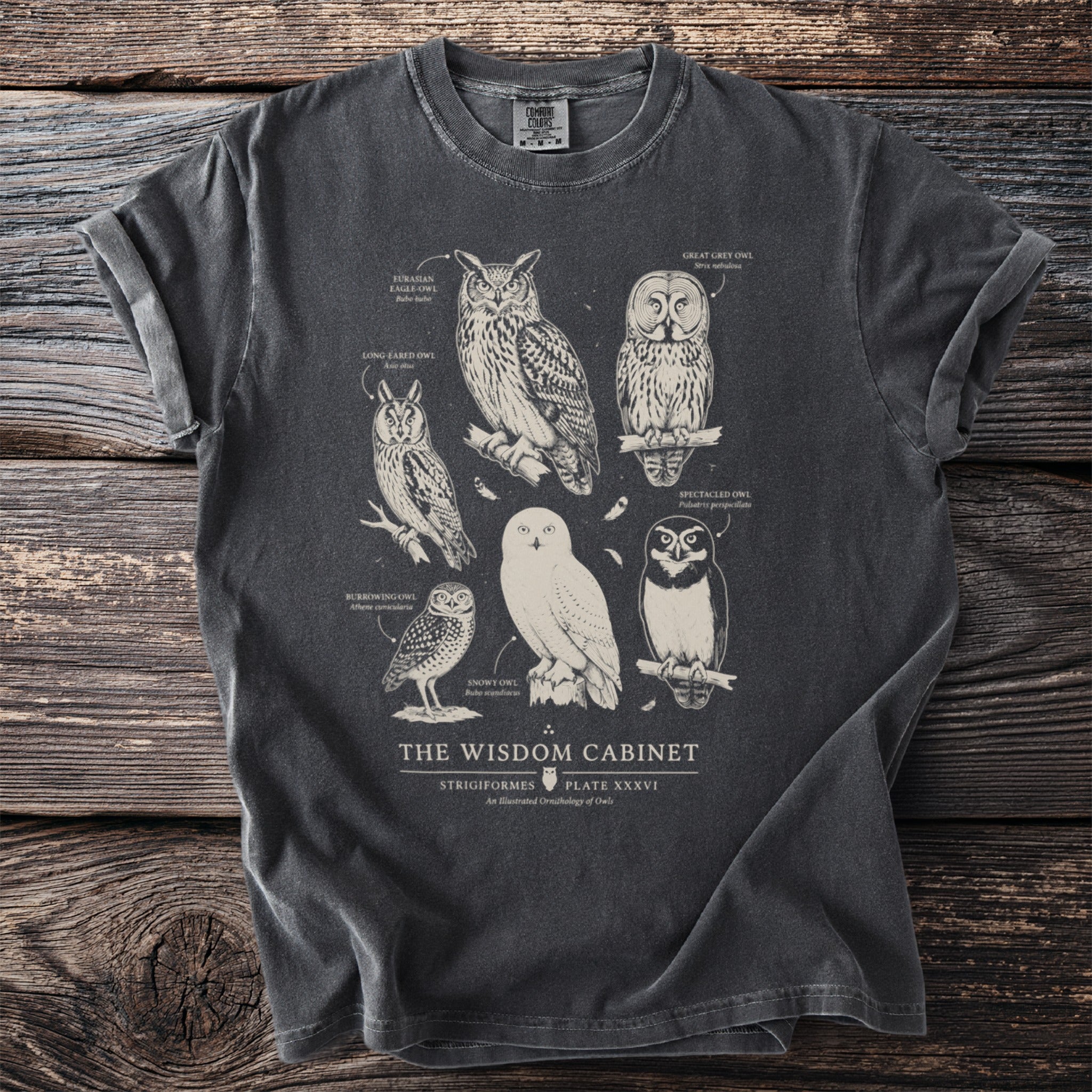 Grey t-shirt with detailed illustrations and labels of six different owl species.