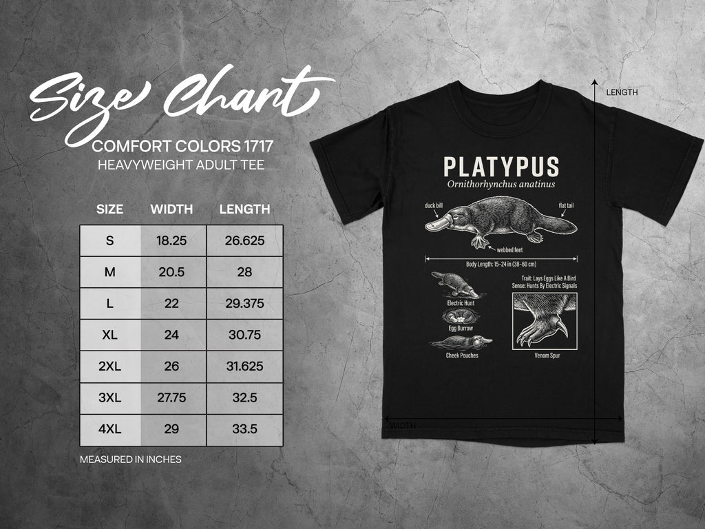 Comfort Colors 1717 garment size chart in inches.
