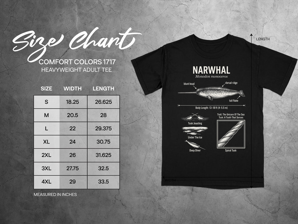 Comfort Colors 1717 garment size chart in inches.