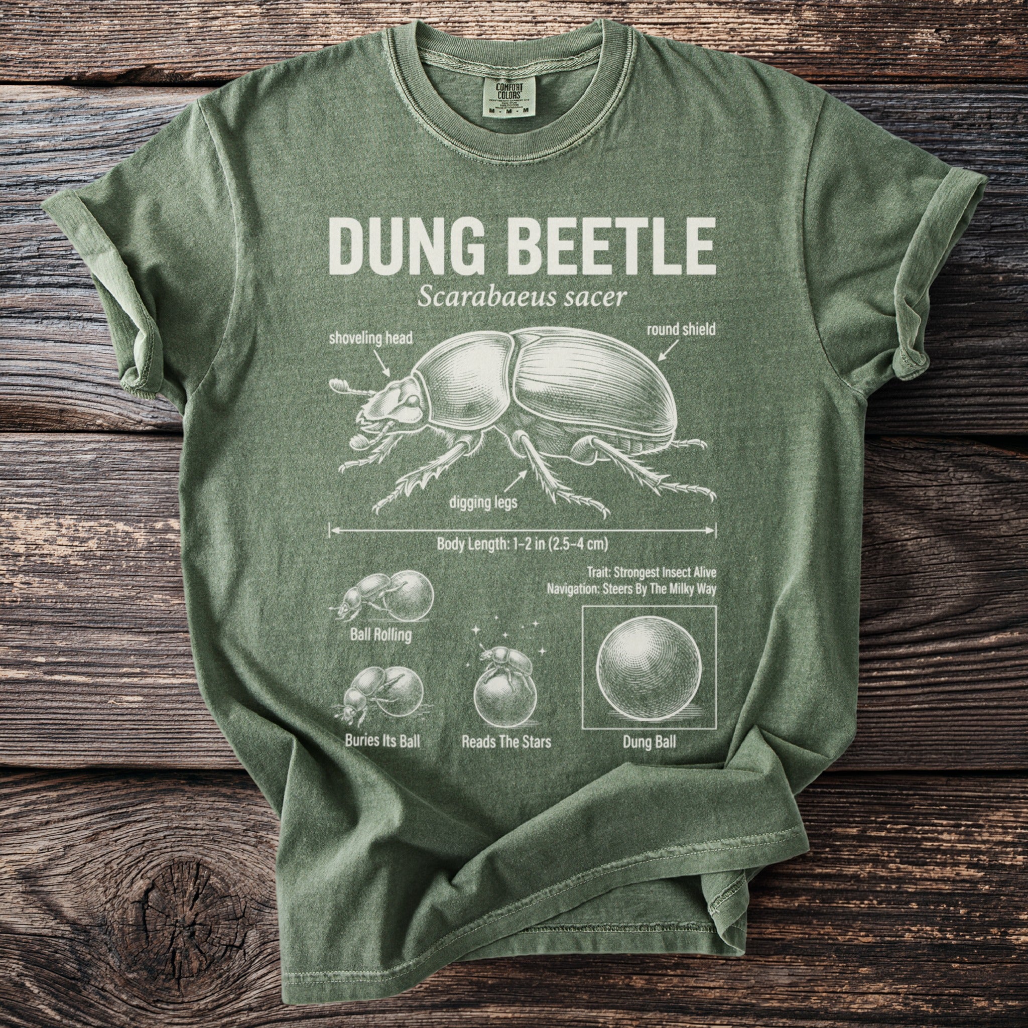 Green t-shirt with a diagram of a dung beetle and its life cycle.