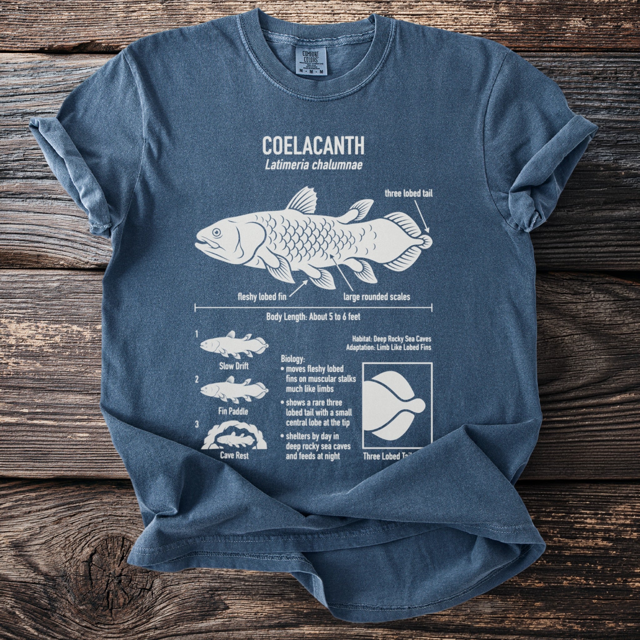 Blue t-shirt with white Coelacanth illustration and educational text.