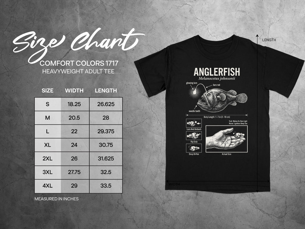 Comfort Colors 1717 garment size chart in inches.