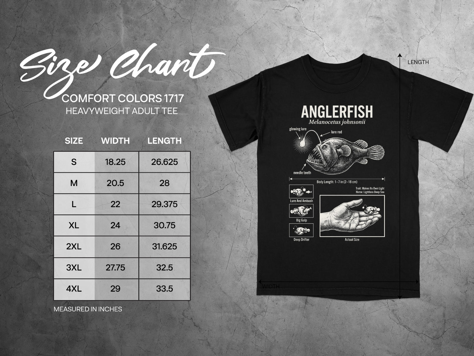 Comfort Colors 1717 garment size chart in inches.