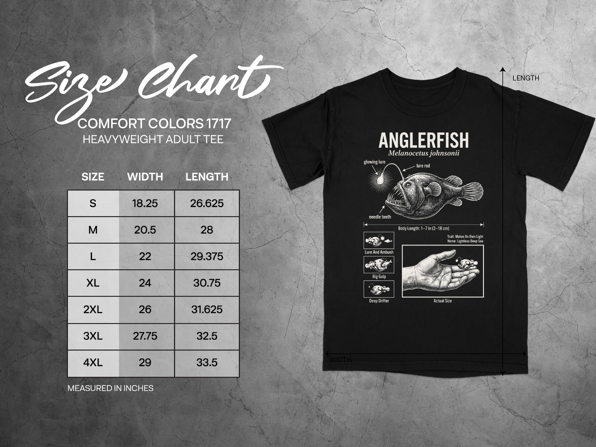 Comfort Colors 1717 garment size chart in inches.