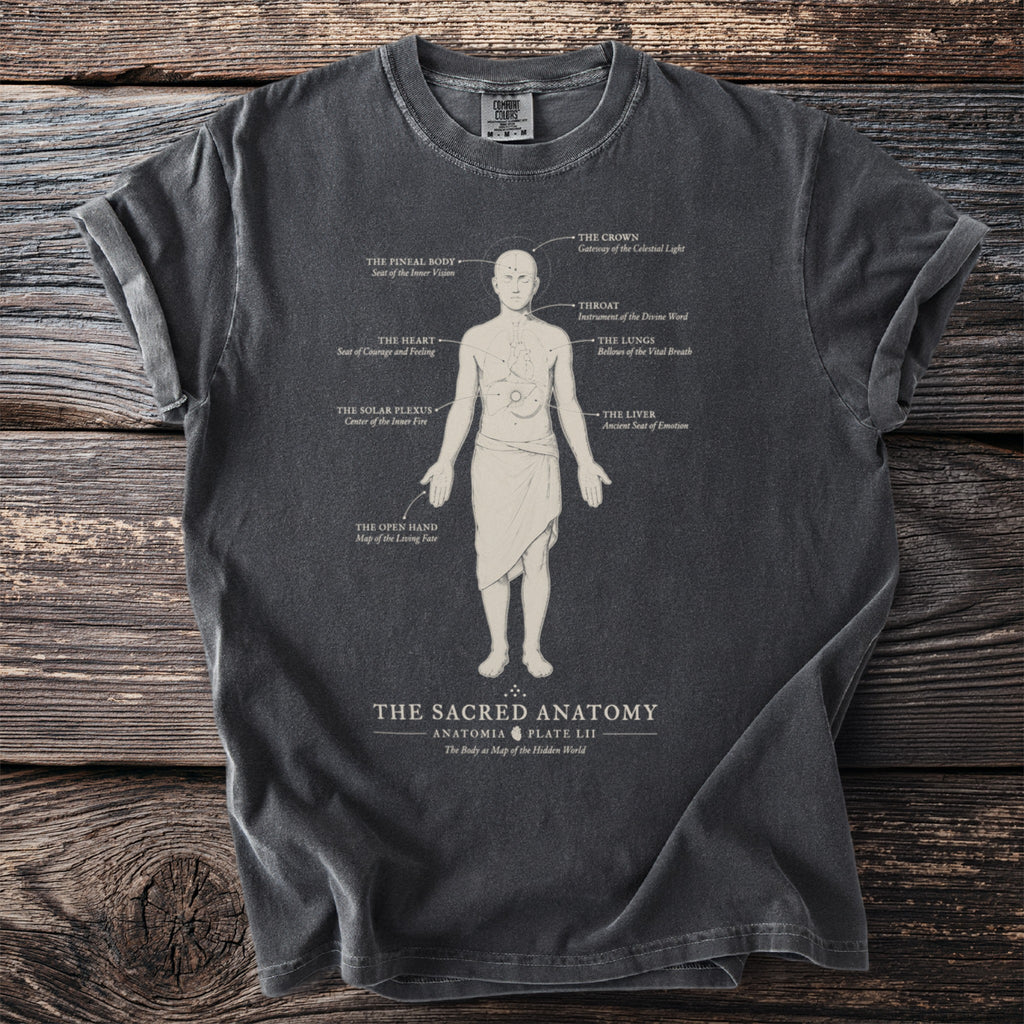Dark grey t-shirt with "The Sacred Anatomy" anatomical diagram and body text.