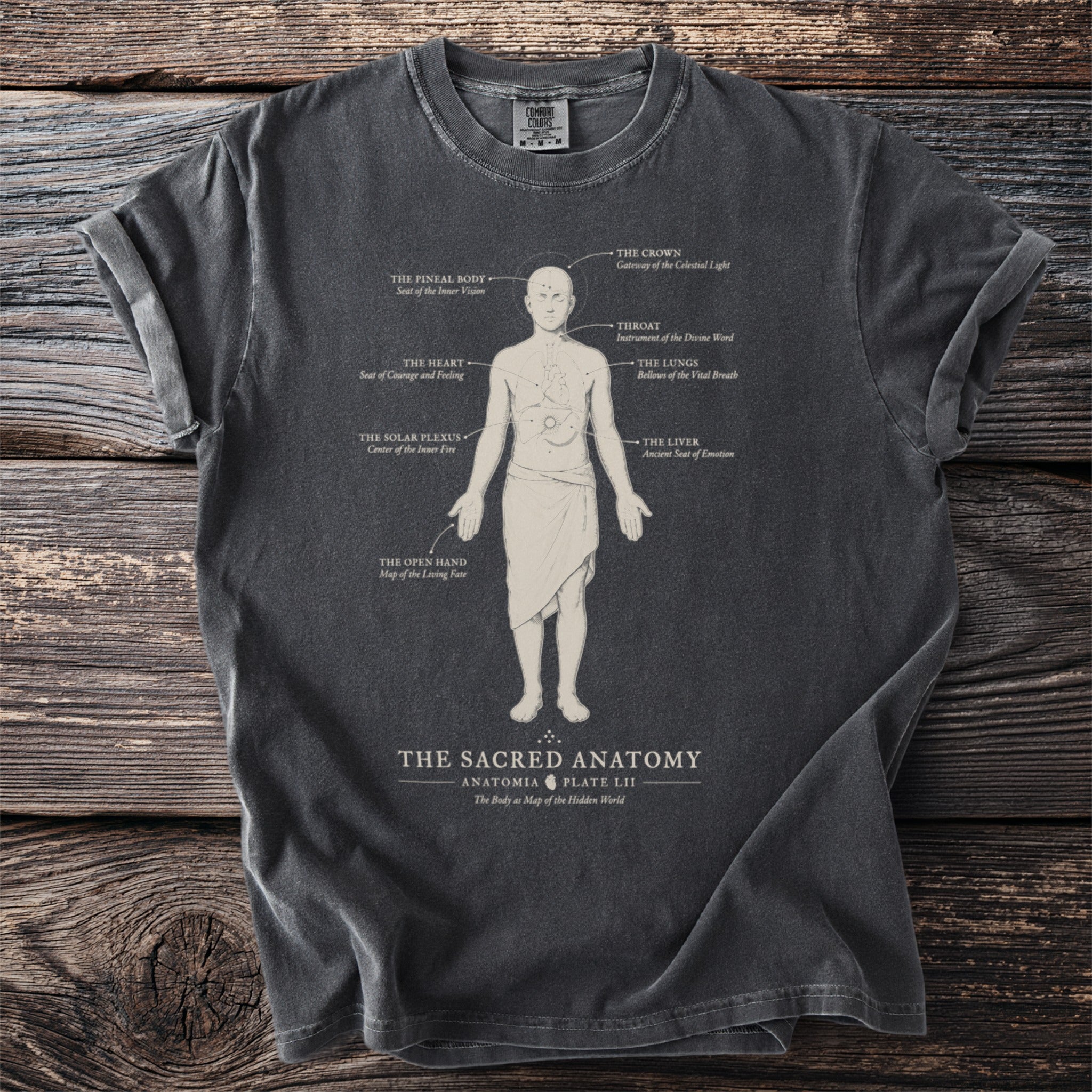 Dark grey t-shirt with "The Sacred Anatomy" anatomical diagram and body text.