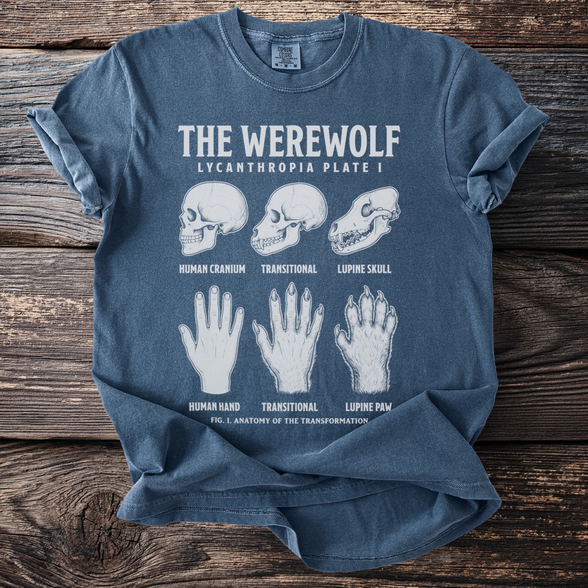 Blue t-shirt with "The Werewolf Lycanthropia Plate I" graphic showing skull and hand transformations.
