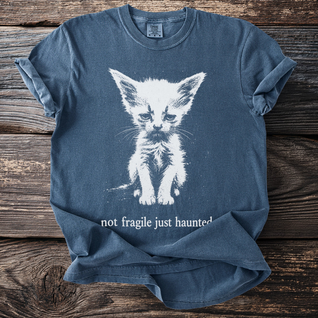 Blue t-shirt with a white graphic of a sad kitten and the text "not fragile just haunted."