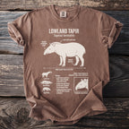 Lowland Tapir scientific illustration with annotated features and biology.