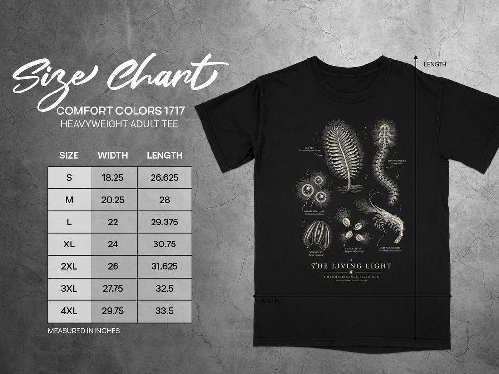 Comfort Colors 1717 size chart with scientific illustrations of marine life.