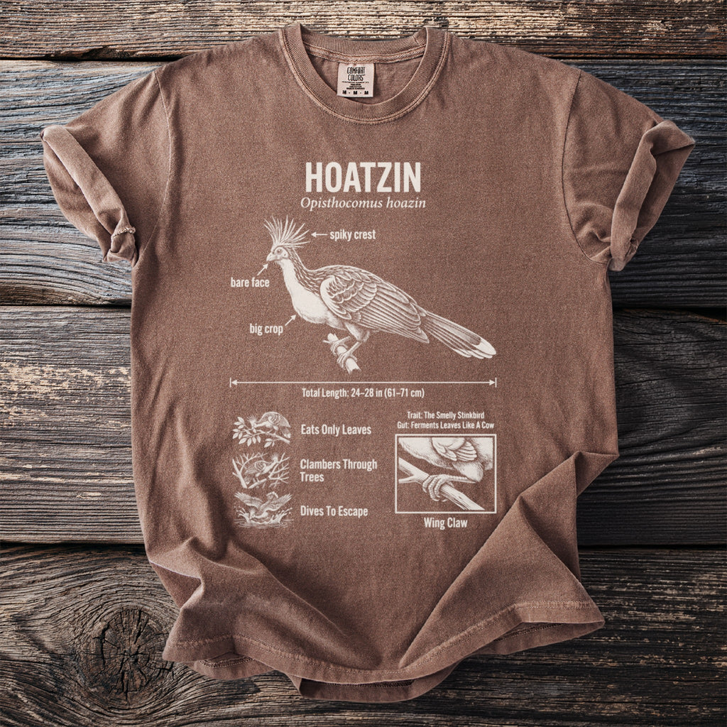 Brown t-shirt featuring a detailed illustration and text about the Hoatzin bird.