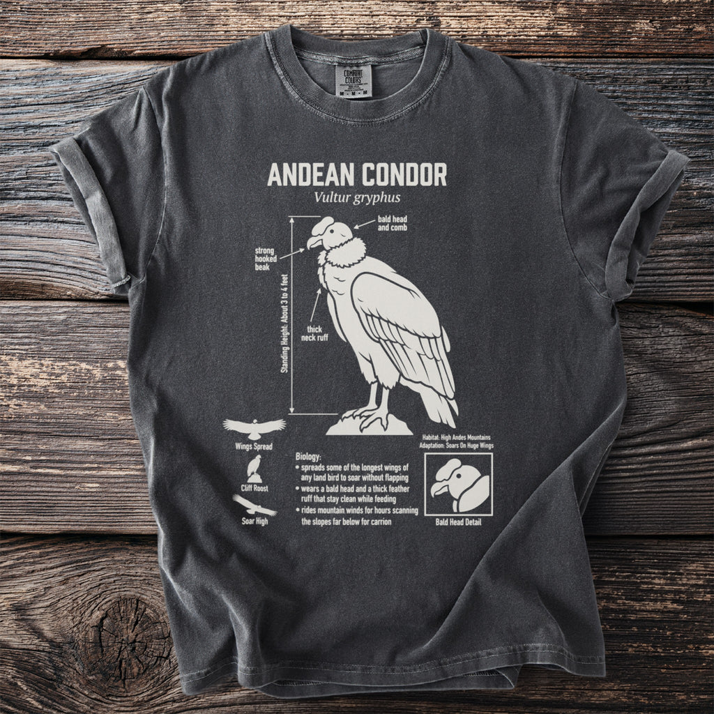 Andean Condor scientific diagram on a dark grey t-shirt.