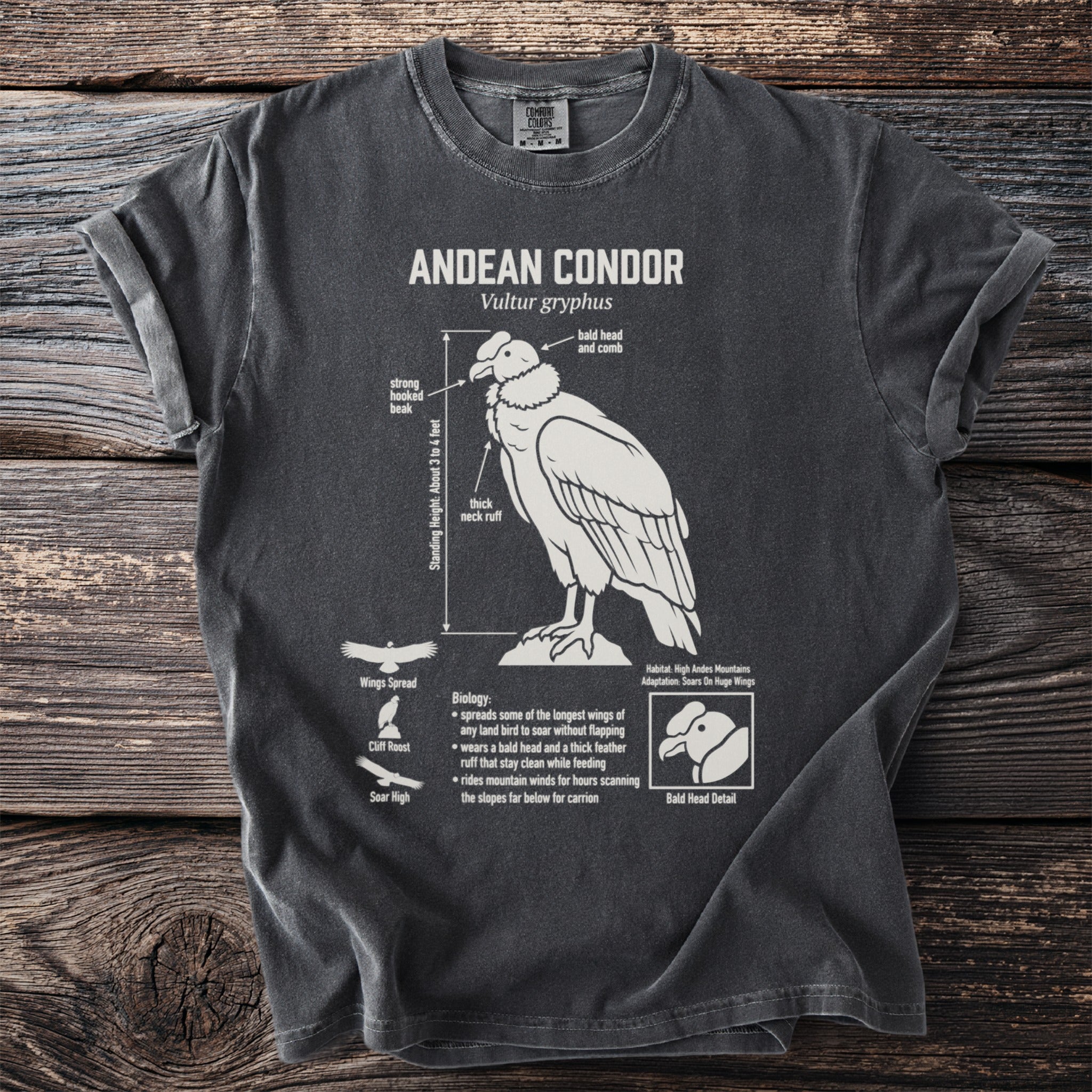 Andean Condor scientific diagram on a dark grey t-shirt.