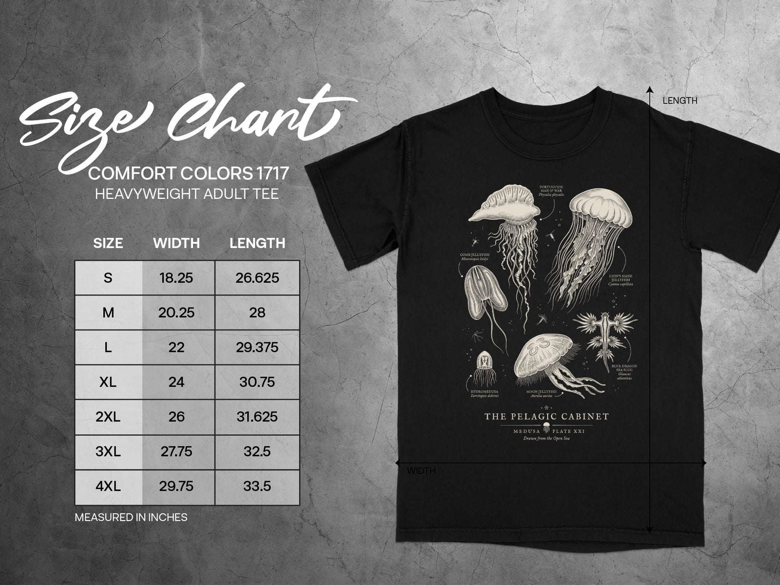 Comfort Colors 1717 heavyweight adult tee size chart with jellyfish illustrations.