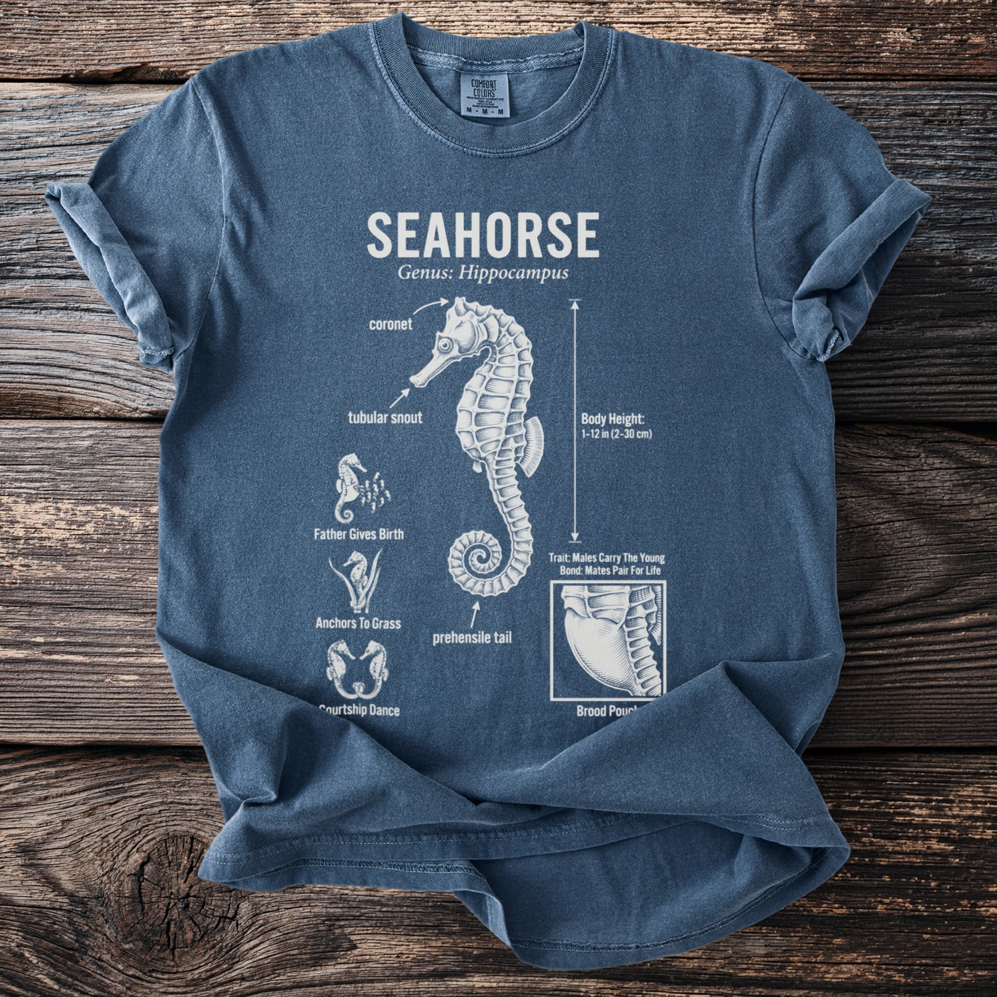 Blue t-shirt with diagram of a seahorse and labeled anatomical features.
