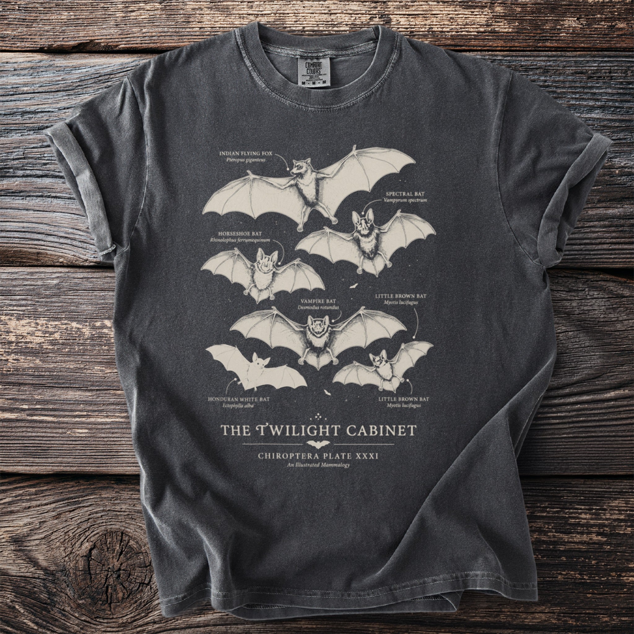 Dark grey t-shirt with illustration of six different bats and their scientific names.