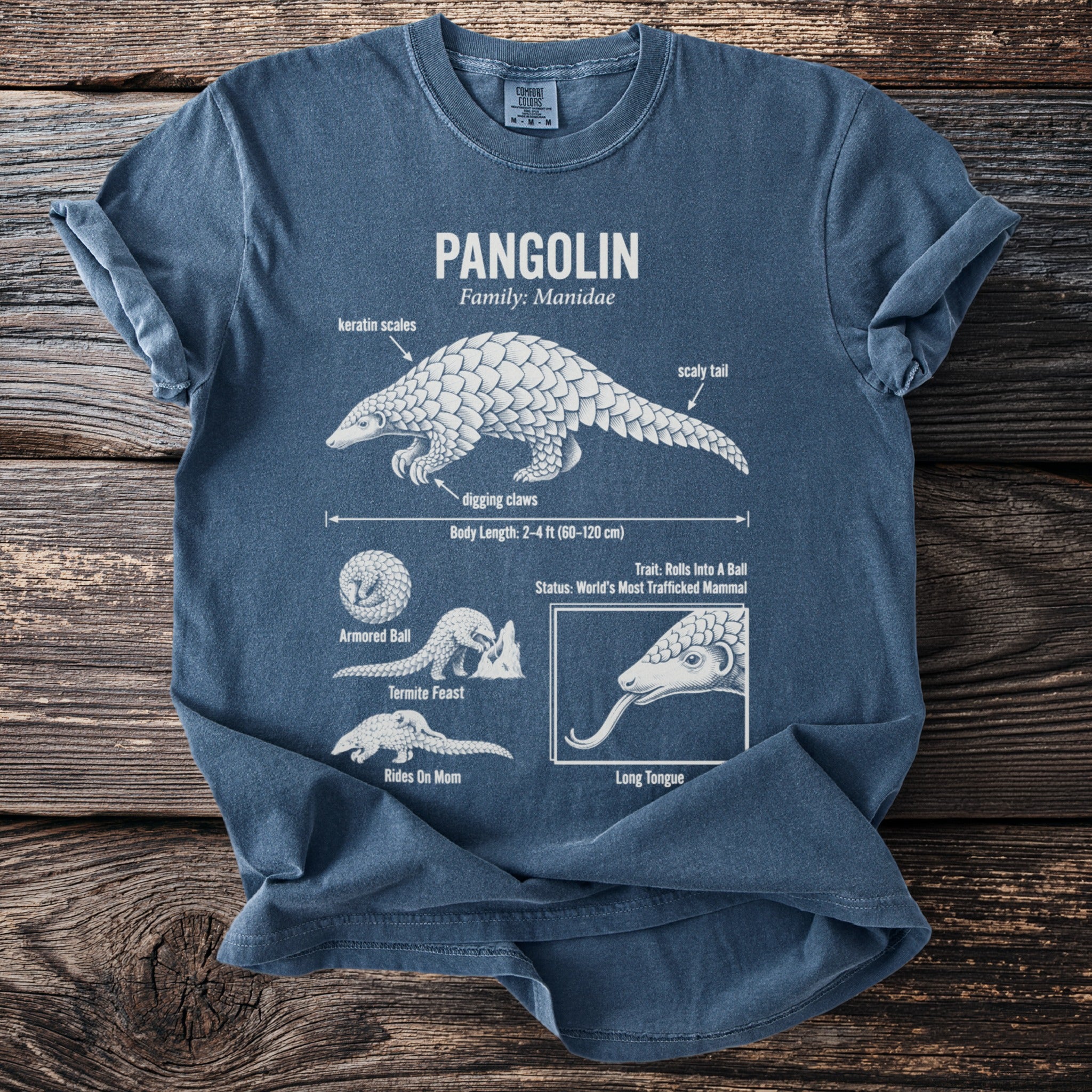 Blue t-shirt with graphic of pangolin, its traits, and facts.