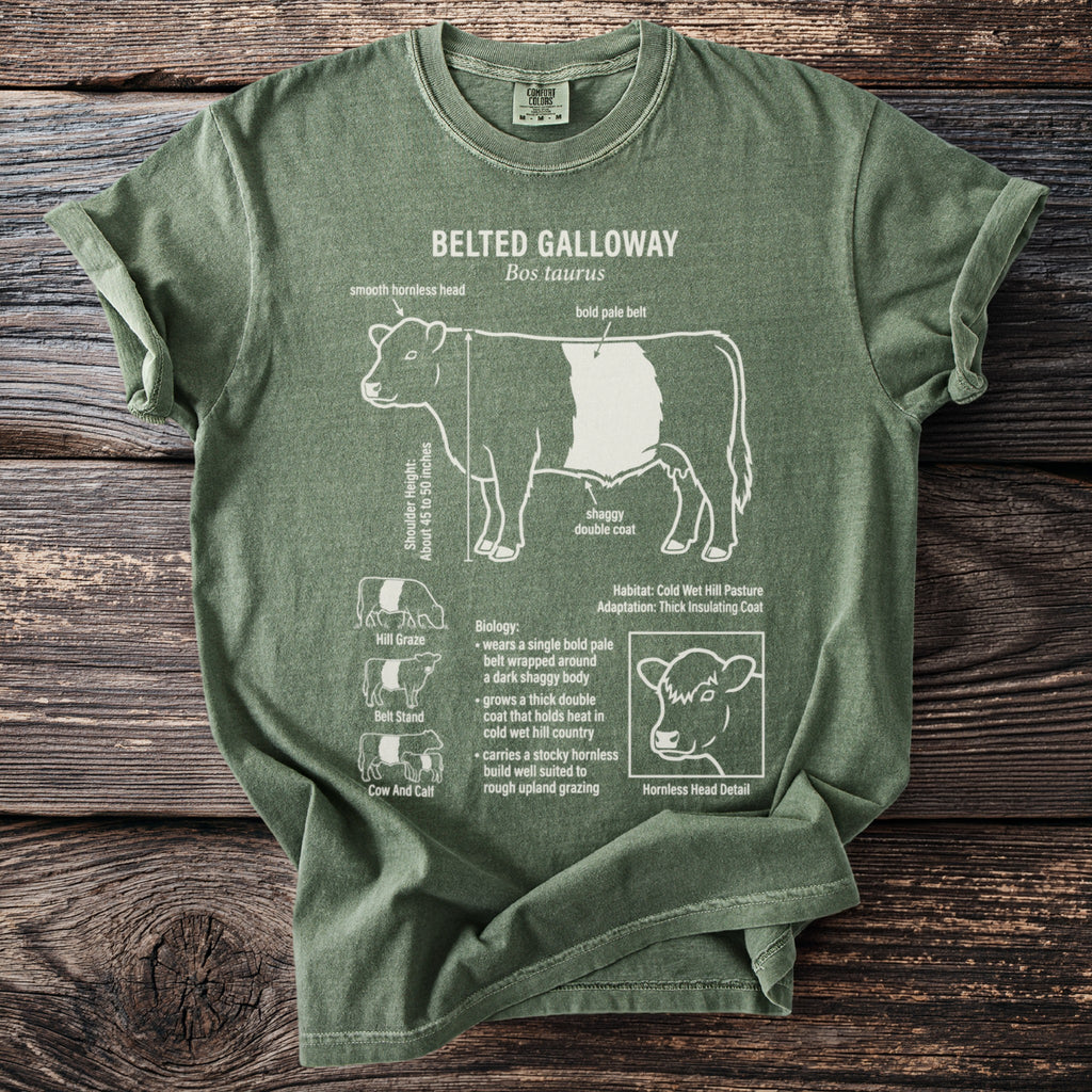 Green t-shirt with Belted Galloway bull illustration and text details.