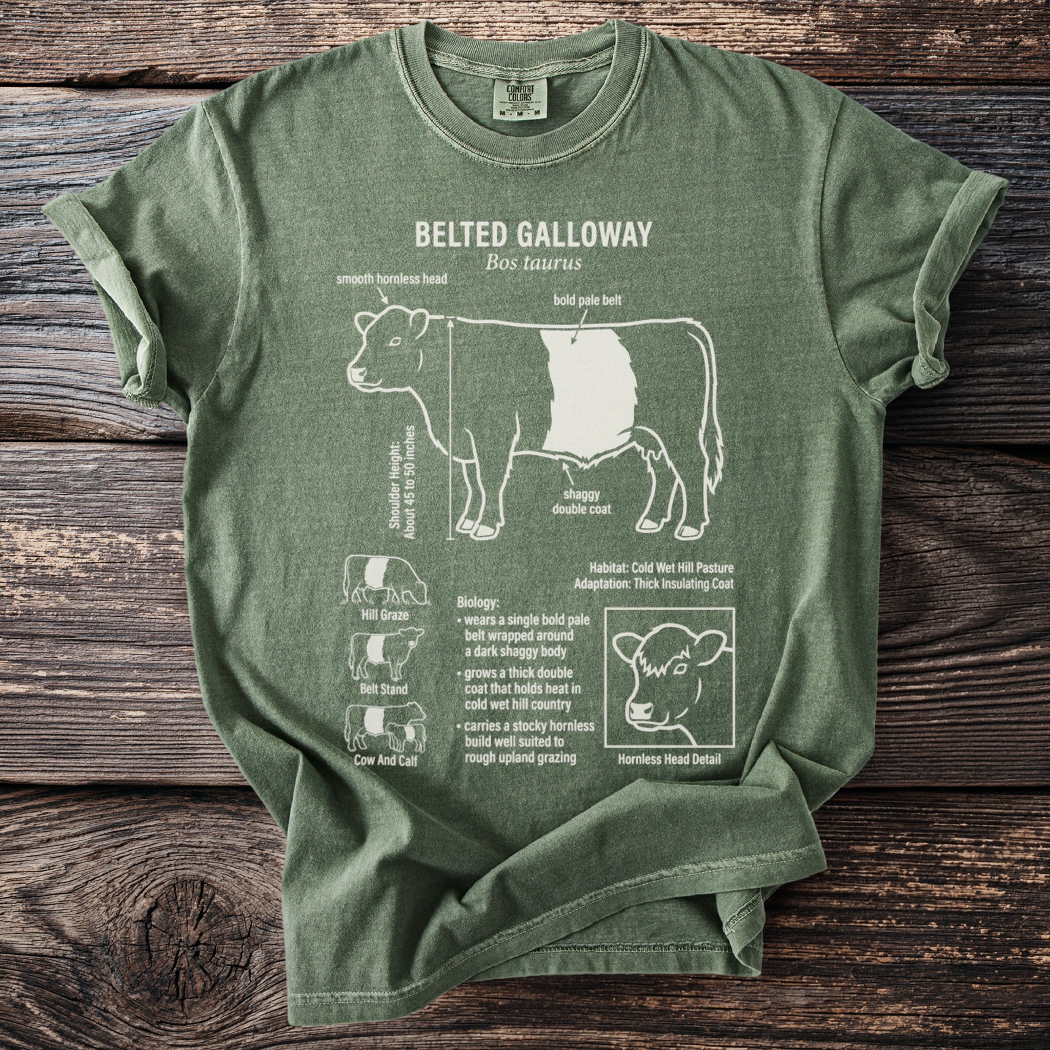 Green t-shirt with Belted Galloway bull illustration and text details.
