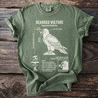 Green t-shirt with white diagram of a bearded vulture and its characteristics.