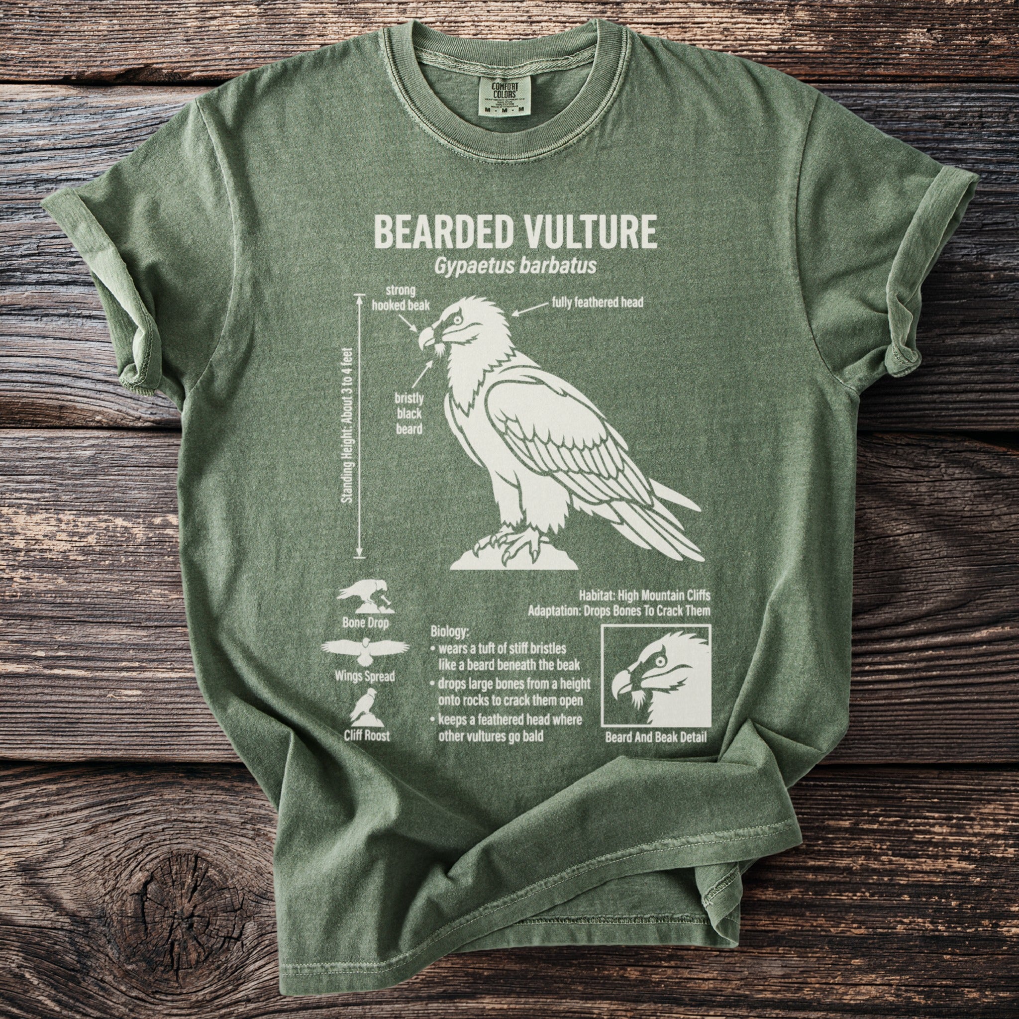 Green t-shirt with white diagram of a bearded vulture and its characteristics.