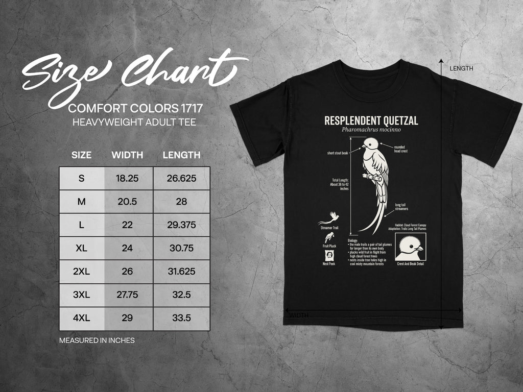 Comfort Colors 1717 heavyweight adult tee size chart and Resplendent Quetzal graphic.