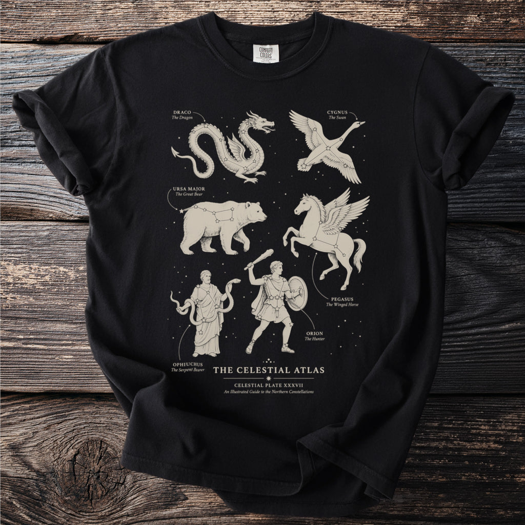 Black t-shirt with celestial atlas illustration of Draco, Cygnus, Ursa Major, Pegasus, Ophiuchus, and Orion.