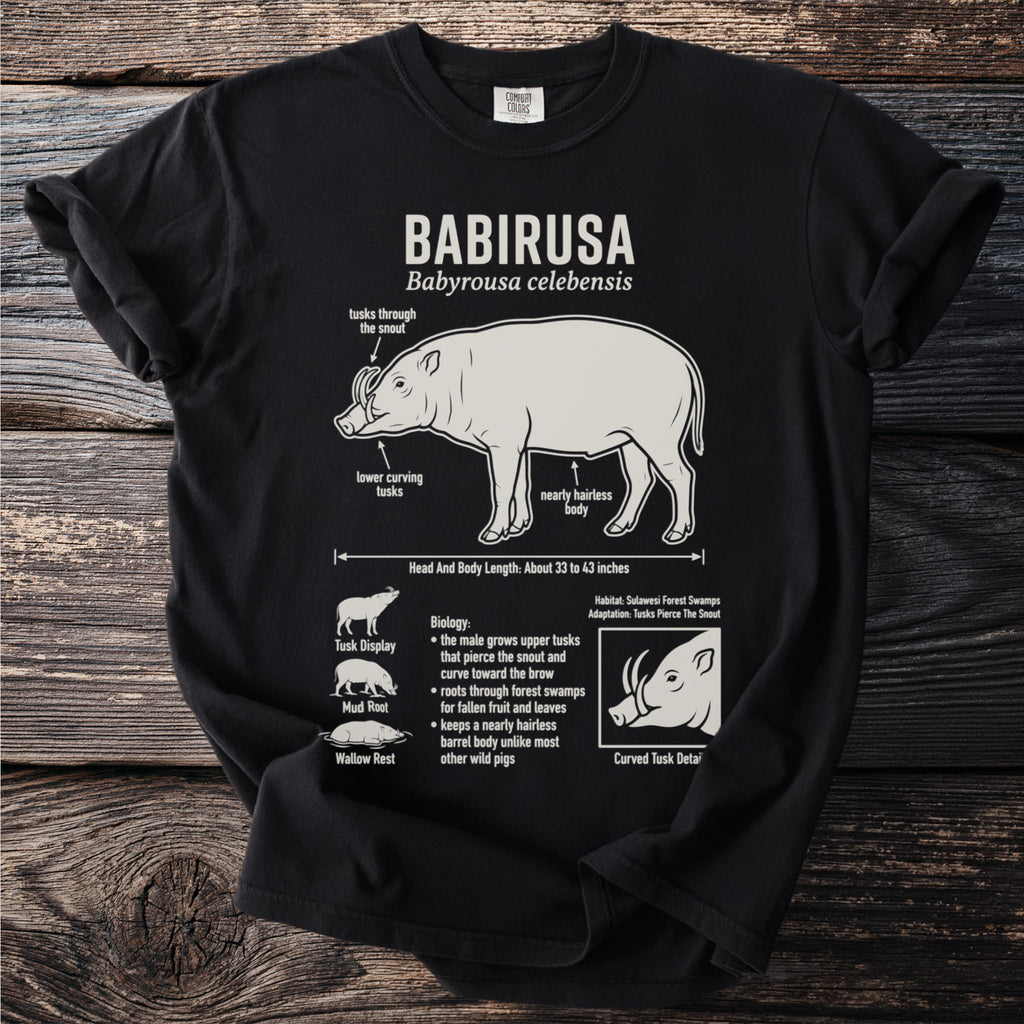 Black t-shirt with a diagram of a babirusa, scientifically Babyrousa celebensis.