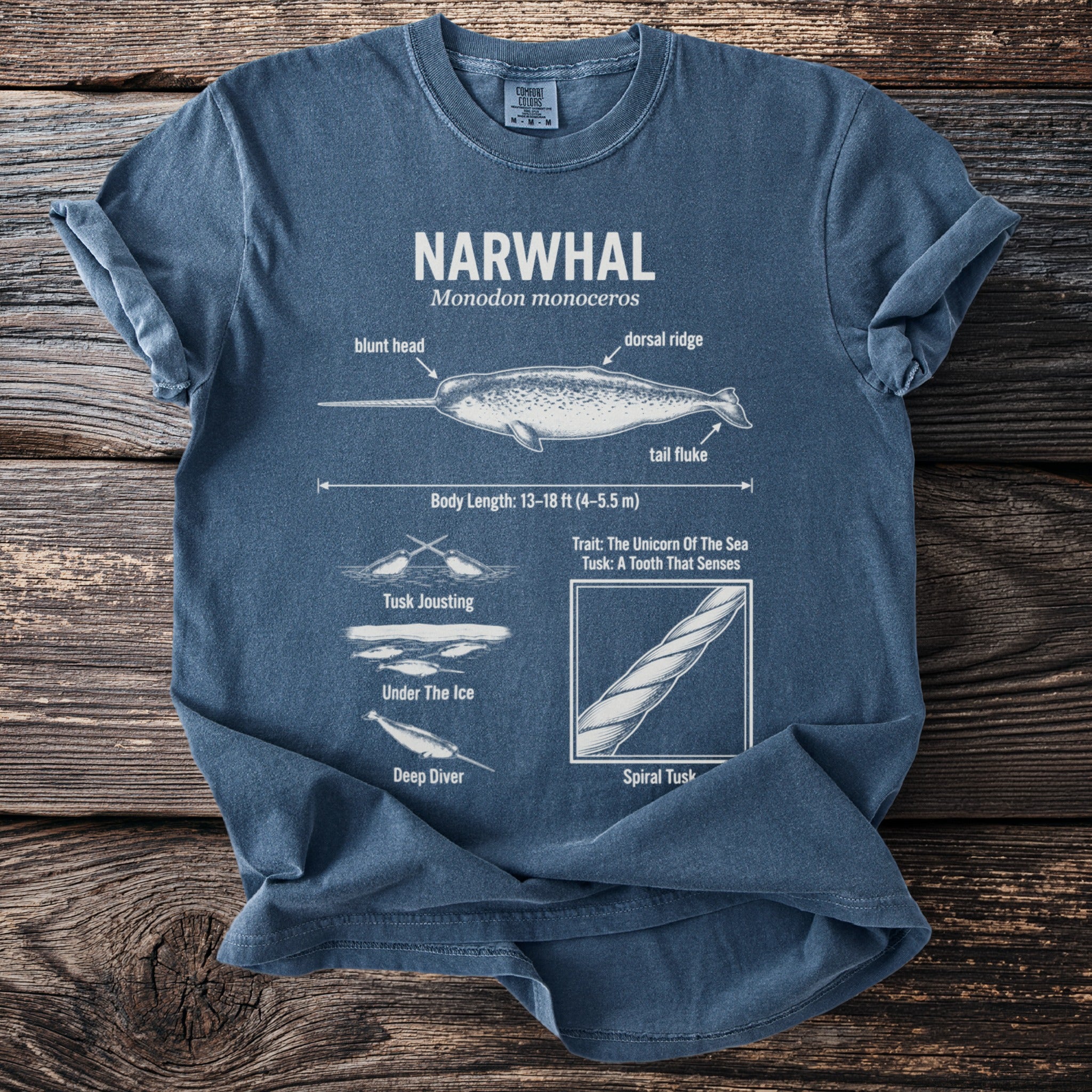 Blue t-shirt with diagram of narwhal and its features including body length.