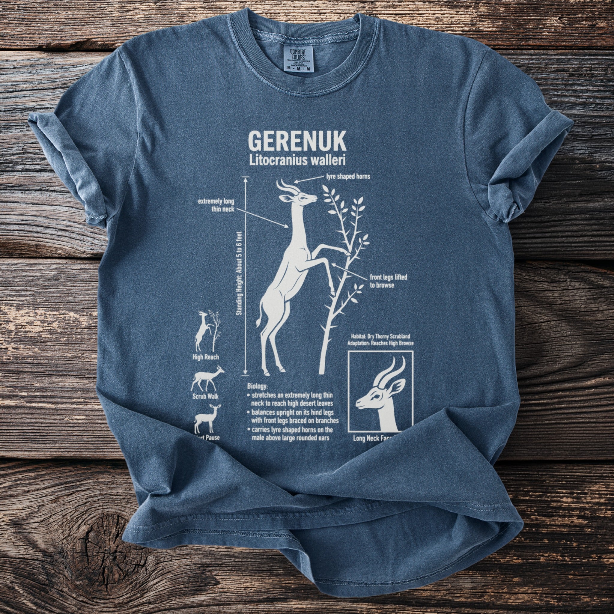 Gerenuk diagram highlighting long neck, browsing posture, and biology on a blue t-shirt.