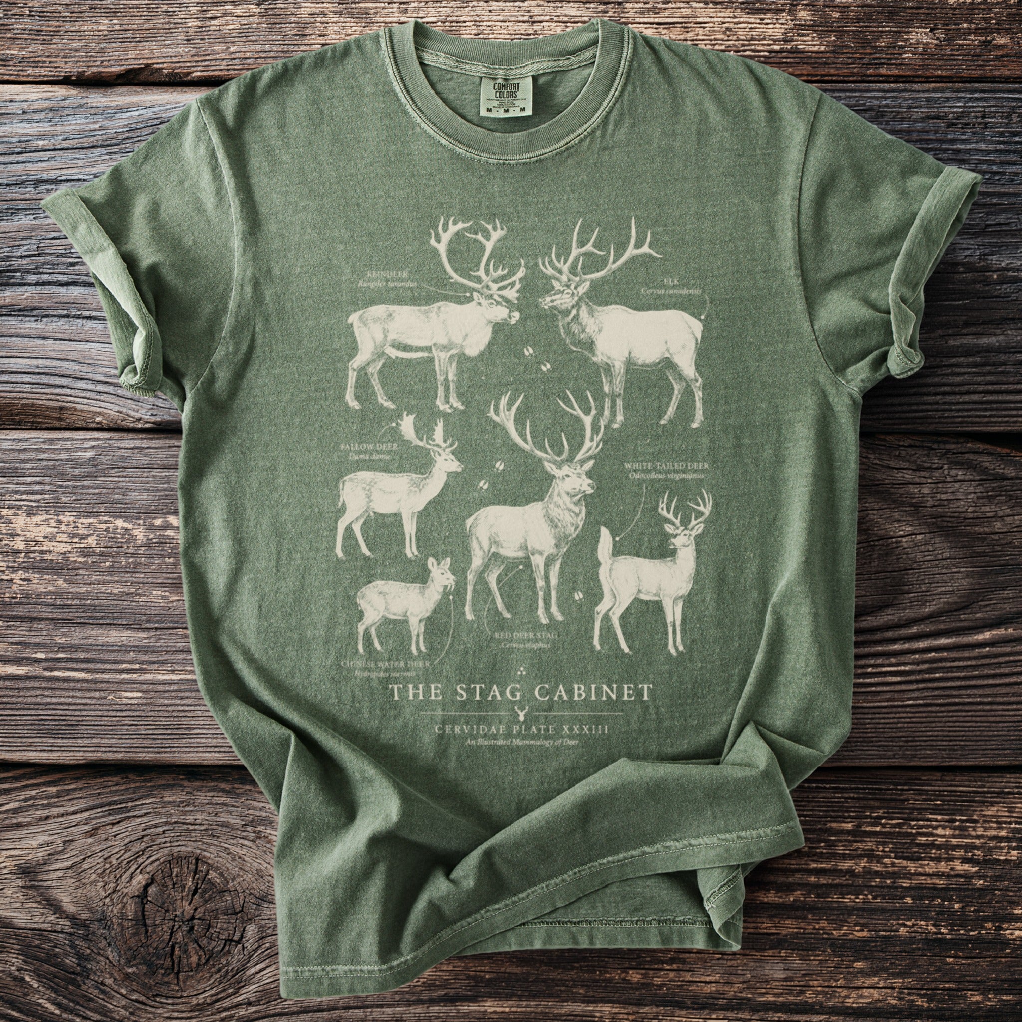 Green t-shirt with illustrated deer and text: The Stag Cabinet.