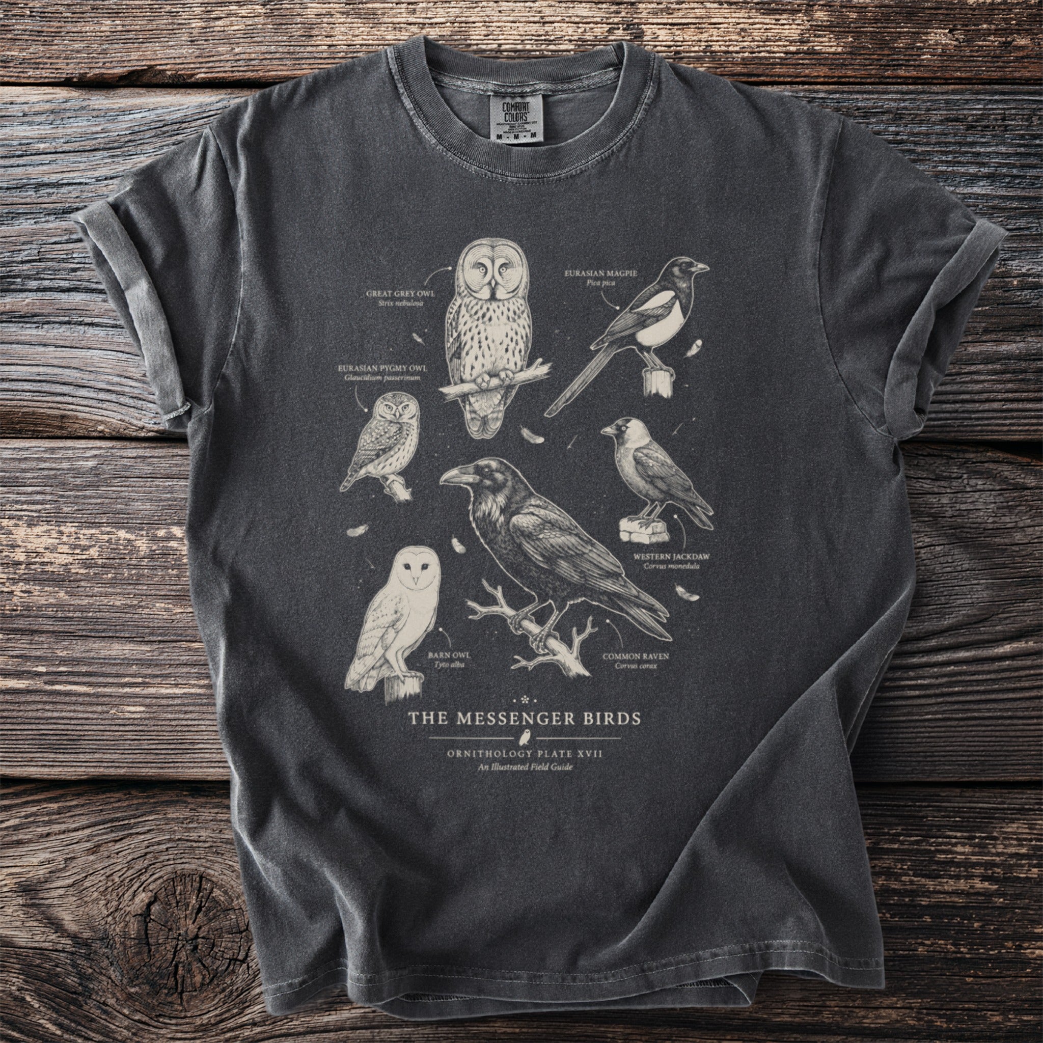 T-shirt with vintage illustration of six birds labeled with names and scientific names.