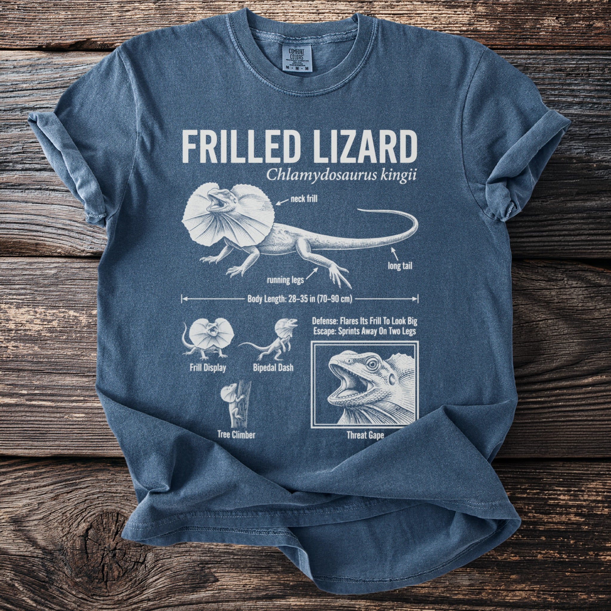 Frilled lizard diagram with scientific name, body length, and behaviors depicted.